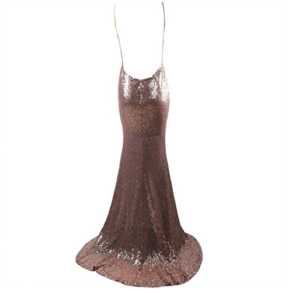 Rose Gold Maxi Dress NWOT - Picture 5 of 5